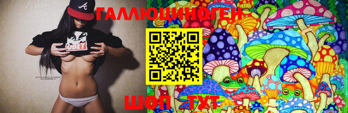 Псилоцибиновые грибы Psilocybine cubensis Белогорск