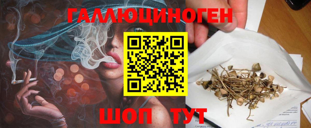 Псилоцибиновые грибы Psilocybine cubensis  Галлюциногенные грибы Cubensis  Вход с VPN  Белогорск 